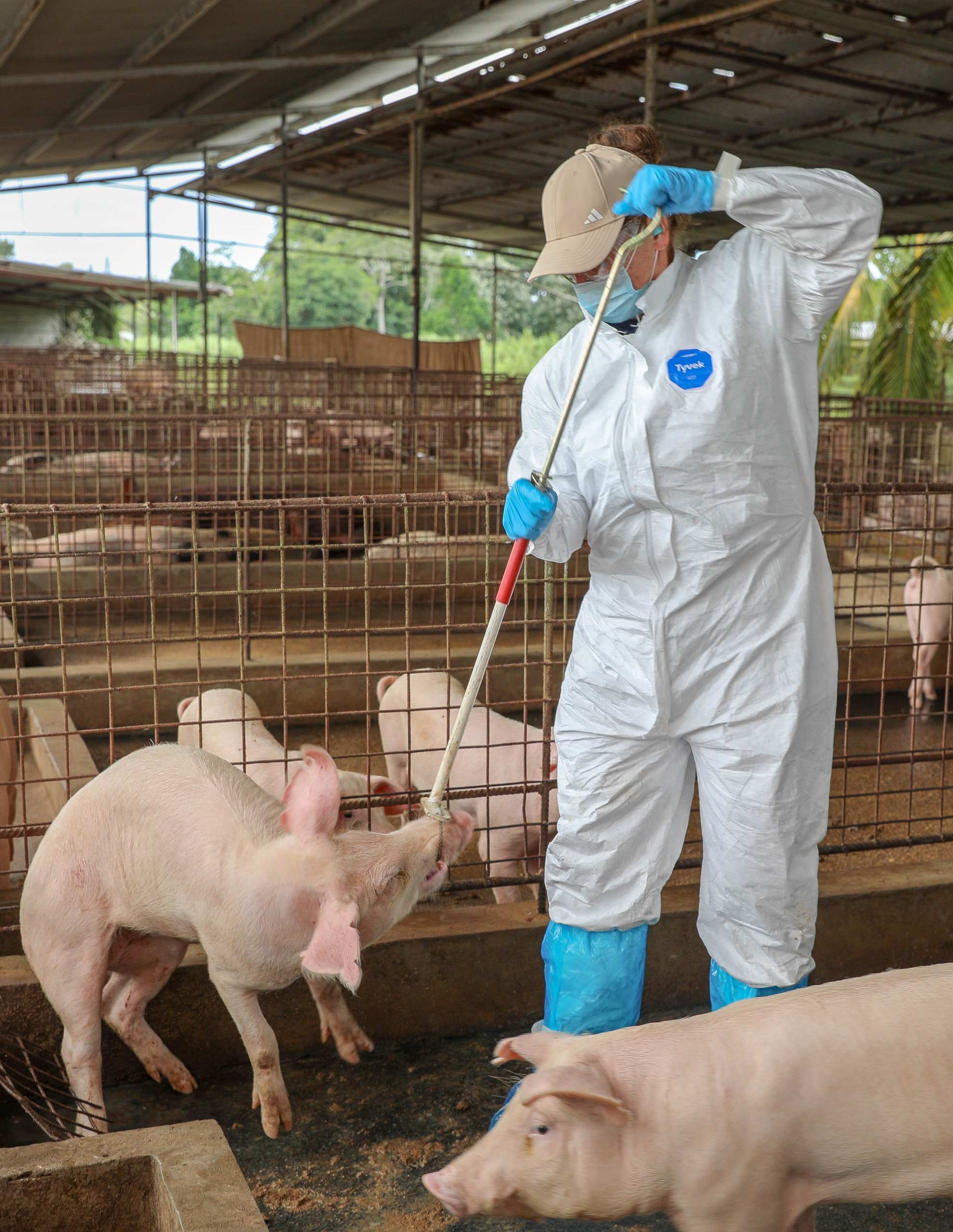 MALF_USDA_IICA_FarmVisit_2024-11-08_3